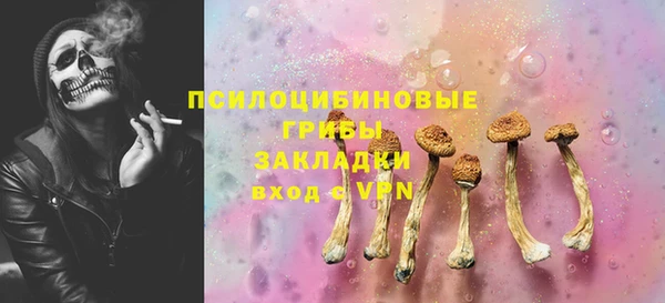мяу мяу мука Арсеньев
