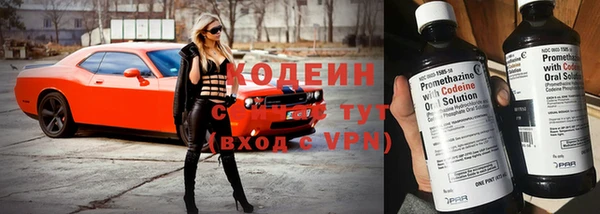 мяу мяу мука Арсеньев